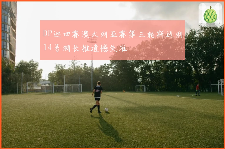 DP巡回赛澳大利亚赛第三轮斯迈利14号洞长推遗憾失准