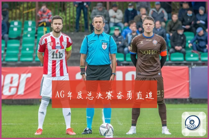 AG年度总决赛奋勇直追
